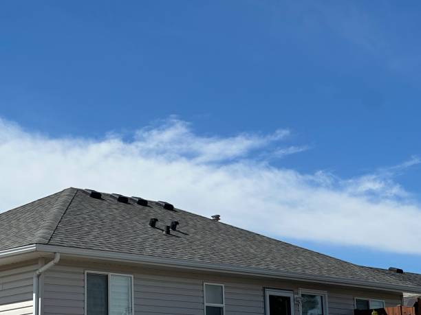 Best Gutter Installation and Repair  in East Atlantic Beach, NY